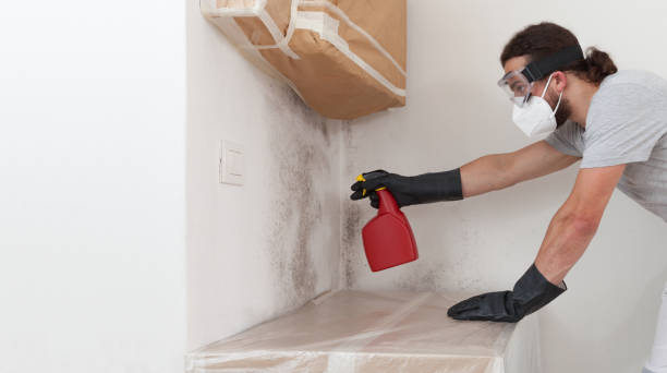 Professional Bathroom Mold Removal technician working in Newport, NC