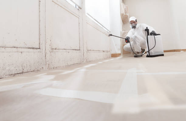 24/7 Emergency Bathroom Mold Removal experts in Newport, NC